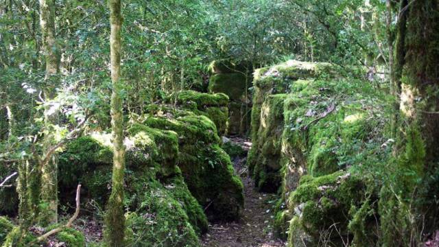 Le Labyrinthe Vert à Nébias