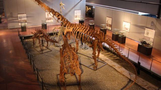 Das Dinosaurier-Museum