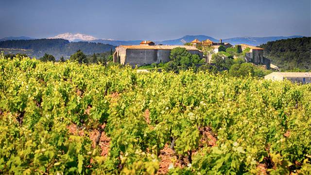 Expérience : Corbières, une parenthèse nature