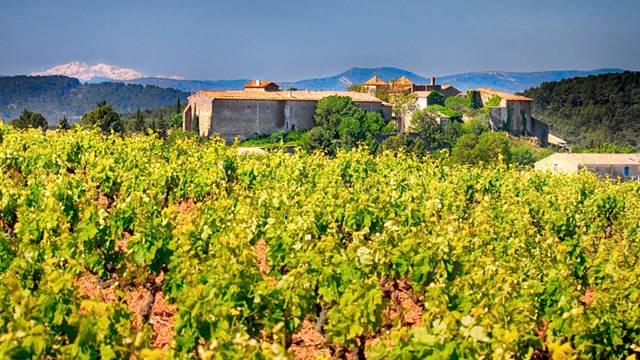 Experience:A nature getaway in the Corbières